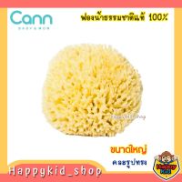 **ขนาดใหญ่** Cann baby &amp; mom ฟองน้ำธรรมชาติแท้ จากธรรมชาติ 100% (ขนาดใหญ่)