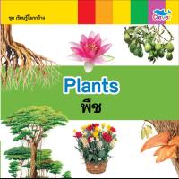 หนังสือ เรียนรู้โลกกว้าง 2 ภาษา (อังกฤษ - ไทย) ตอน Plants พืช