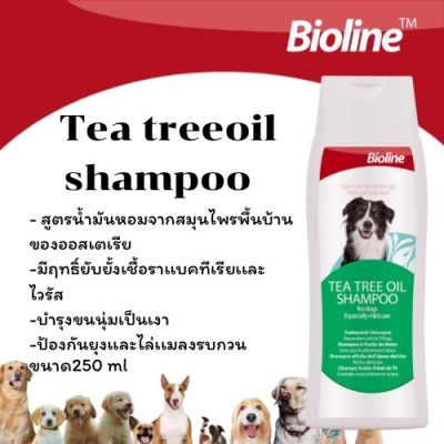 เเชมพูสูตรน้ำมันหอมทีทรี Tea treeoil shampoo-B2391