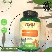 Now foods, L-Lysine for cats 8oz (226.8g) ไลซีนสำหรับแมว ขวดละ 226.8g exp.07/2026