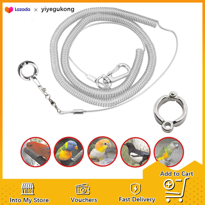 Bird leash with ring Bird training leash and ring for cockatiel ...