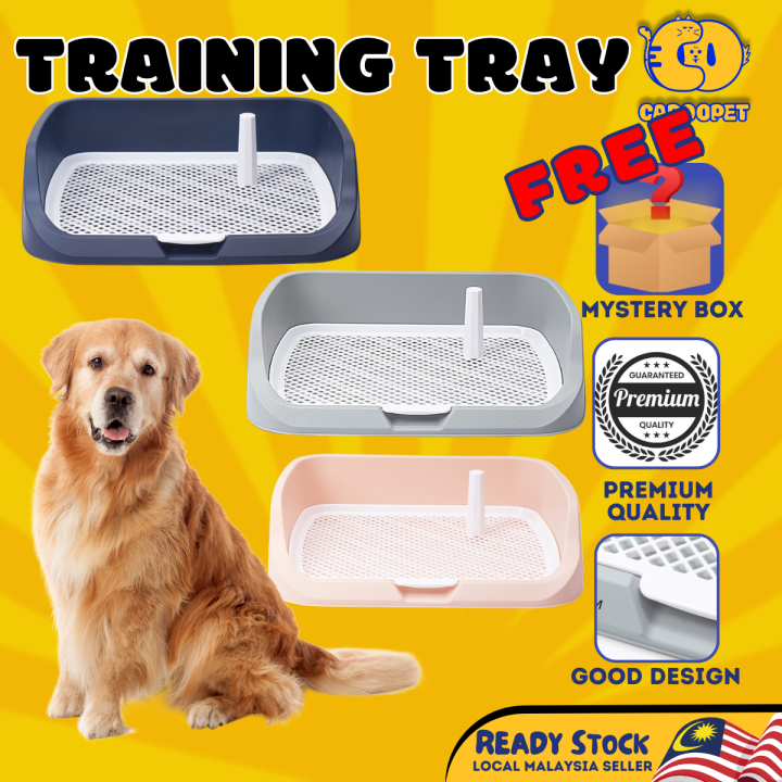 Dog Training Tray Large Potty Training Toilet Dog Litter Box with Wall