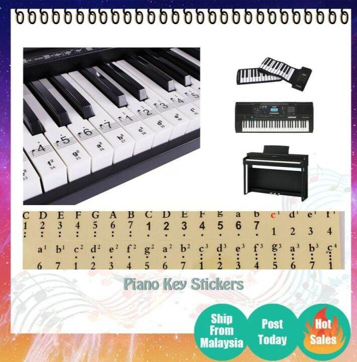 Keyboard Sticker Piano Sticker Keyboard Piano Sticker Beginner Piano ...