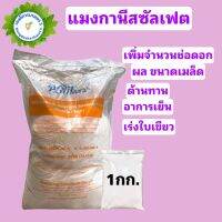 แมงกานีสซัลเฟต 32%  Manganese Sulfate Monohydrate สังเคาระห์แสง บำรุงใบ บรรจุ 1 กิโลกรัม