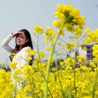 ปลูกง่าย ปลูกได้ทั่วไทย ของแท้ 100% เมล็ดพันธุ์ 200 เมล็ด Edible Rape Flowers Seeds เมล็ดพันธุ์ผัก เมล็ดผัก เมล็ดพืช ผักสวนครั เมล็ดพันธุ์พืช เมล็ดดอกไม้ พรรณไม้ ต้นไม้ เมล็ดพันธุ์ผัก พันธุ์ไม้ผล ผักซอง ผักสวนครัว ต้นไม้หายาก จัดสวน ตกแต่งสวน Plants