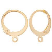 1 Box 50Pcs Leverback Earring Hooks 24K Gold Plated Round French Earring Hooks Earwire Findings 14.5x12mm for DIY Women Earring Making