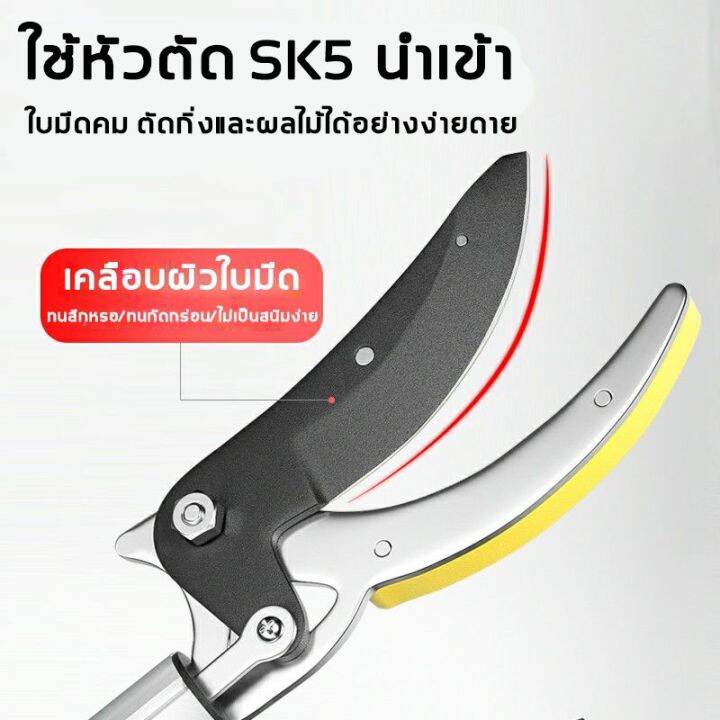 วัสดุสแตนเลส-กรรไกรตัดกิ่ง-กรรไกรยาว-4-เมตร-การเก็บผลไม้-การตัดแต่งกิ่ง-กรรไกรตัดหนีบผลไม้ด้ามยาว-กรรไกรตัดกิ่งด้ามยาว-soloกรรไกร-มัลติฟังก์ชั่น4-in-1กรรไกรตัดห-กรรไกรตัดกิ่งและผลไม้ด้ามยาว-เก็บผลไม้จ