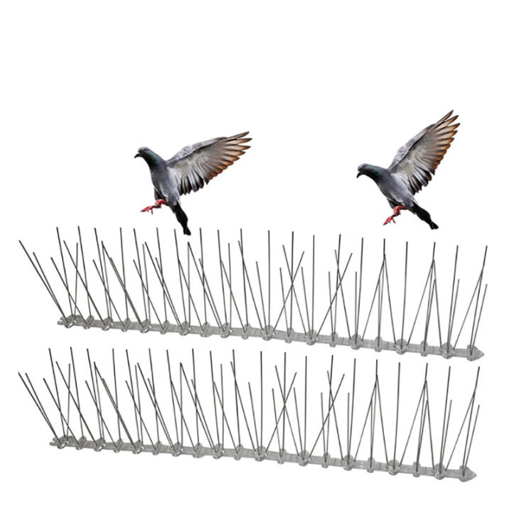 rayua-ผู้พิทักษ์นกแหลมรั้วผนังป้องกันนก-pigeon-protector-ผู้จำหน่าย