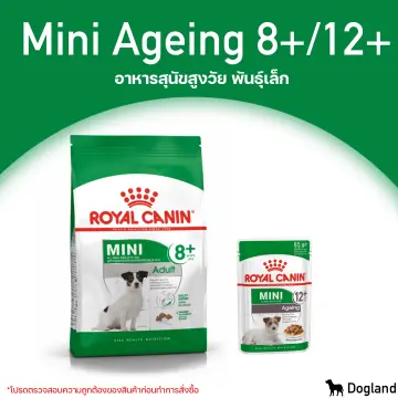 Royal canin french bulldog puppy outlet 10kg