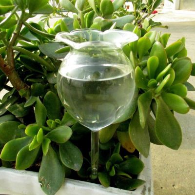 【☄New Arrival☄】 yongb อุปกรณ์รดน้ำพืชดอกแก้วดอกไม้อัตโนมัติในร่มระบบรดน้ำสปริงเกอร์สวนชุดให้น้ำแบบน้ำหยด