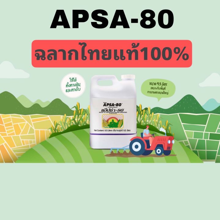 amwayฉลากไทยแท้100-apsa-80-แอฟซ่า-80-ขนาด-9-5-ลิตร-โปรราคาพิเศษ-3-390-บาท-ด่วนจำนวนจำกัด