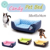 KJ ที่นอนแมว Candy Pet Bed         ขนาด 58x45x14cm และ 68x55x16cm ที่นอนหมา เบาะนอนสุนัข เบาะนอนหมา เบาะนอนแมว ที่นอนสัตว์เลี้ยง เตียงหมา เตียงแมว