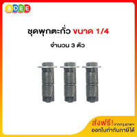 ชุดพุกตะกั่วพร้อมสกรู 1/4 จำนวน 3 ตัว/ชุด (มีสินค้าพร้อมส่งทันที)