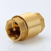 【YY】1pc DN15DN20DN25 NPT ss Thread In-Line Spring Check Valve 25mm Diameter 200WOG For Water Control