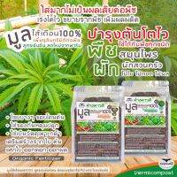 มูลไส้เดือนสด100% +ไตรโคเดอร์มา, +ไมคอร์ไรซา(1kg) เร่งโตไว ขยายรากพืช บำรุงต้นใบ แตกยอดใหม่ ติดดอกออกผล 100%Organic Fresh Vermicompost (+Trichoderma, +Mycorrhiza)