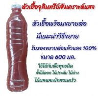 จุลินทรีย์สังเคราะห์แสง