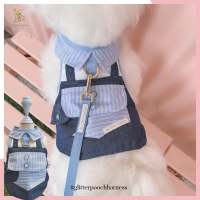 Glitter Pooch ชุดรัดอก สายจูง เสื้อผ้า สุนัข, หมา, แมว, สัตว์เลี้ยง พร้อม สายจูง รุ่น De Jean Boy