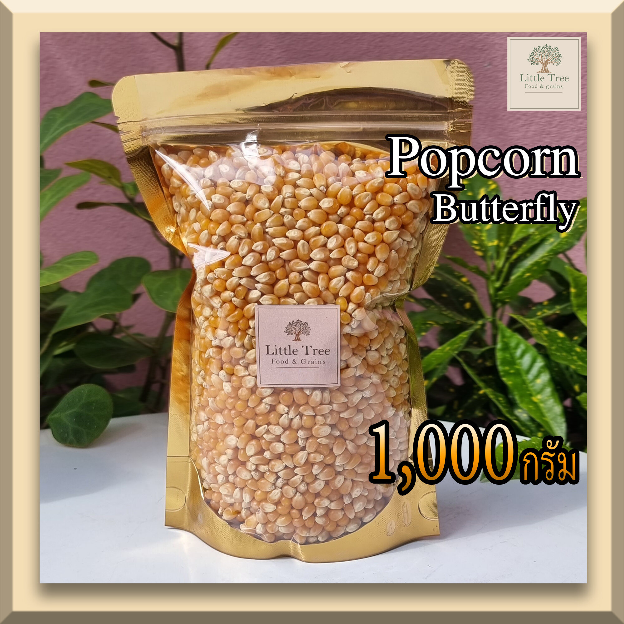 เมล็ดข้าวโพดดิบ เม็ดข้าวโพด Popcorn ป๊อปคอร์น ข้าวโพดคั่ว 1,000 กรัม(1kg.) Butterfly ผีเสื้อ สะอาด คุณาพดี