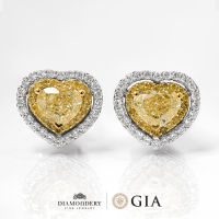 ต่างหูเพชร Heart Fancy Yellow Diamond Earrings