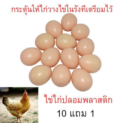 ไข่ไก่ปลอมพลาสติก ไข่ไก่ปลอม ของเล่นไข่ปลอม ช่วยกระตุ้นการออกไข่ได้ดี 11ฟอง