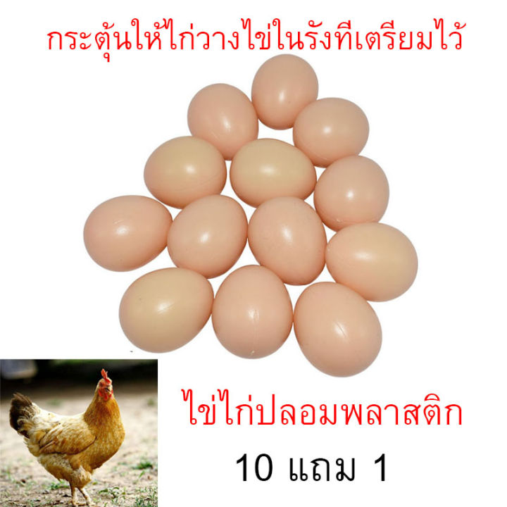 ไข่ไก่ปลอมพลาสติก-ไข่ไก่ปลอม-ของเล่นไข่ปลอม-ช่วยกระตุ้นการออกไข่ได้ดี-11ฟอง