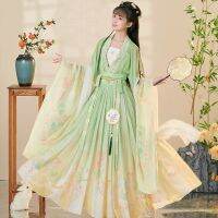 Hanfu [Narcissus Flower] เสื้อผ้าจีนแบบดั้งเดิมสำหรับนักวิชาการอาวุโสใน Wei และจินราชวงศ์