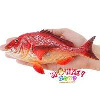 Monkey Toys - โมเดลสัตว์ Snapper Fish ปลากระพงแดง ขนาด 17.00 CM (จากหาดใหญ่)