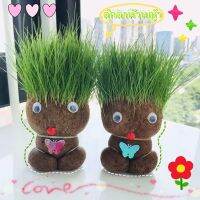 【TISS】ตุ๊กตาหญ้า หญ้าแมว กระถางสร้างสรรค์ grass head ของขวัญคริสต์มาส