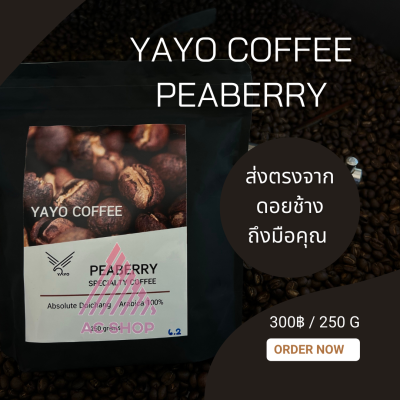 กาแฟ เมล็ดกาแฟสดคั่ว จากดอยช้าง100% กาแฟ เพียเบอรี่ จาก Yayo farm ดอยช้าง เชียงราย   AC99