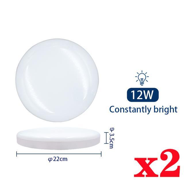 cw-2pcs-lot-ceiling-12w-24w-pir-sensor-lamp-mounted-sounds-220v-round-panel