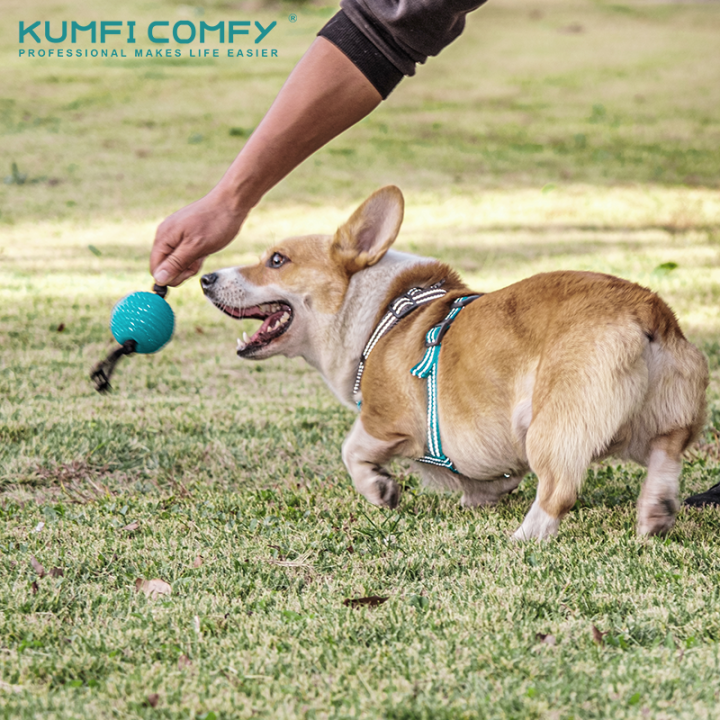 ลูกบอลกัดเล่น-ของเล่นสุนัข-ball-on-rope-chew-kumfi-comfy-จากตัวแทนจำหน่ายอย่างเป็นทางการ-เจ้าเดียวในประเทศไทย