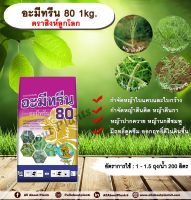 อะมีทรีน 80 1kg. ตราสิงห์ลูกโลก อะมีทรีน อามีทรีน สารกำจัดวัชพืช กำจัดหญ้า ใบแคบและใบกว้าง แบบดูดซึม กำจัด หญ้าตีนติด หญ้าตีนก allabountplants