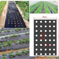 5Holes 0.95x50m 0.02mm Black Garden Greenhouse Vegetables Membrane Agricultural Plants Mulch Seeding Plastic Perforated PE Film