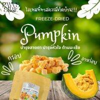 [Paws-sible] Rodent Garden: Freeze dried pumpkin