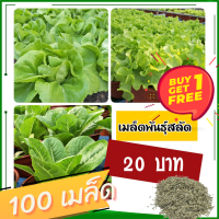 ฟรี! เมล็ดพันธ์ุผักสลัด 100 เมล็ด