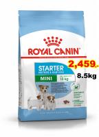 Royal canin Mini starter 8.5kg สำหรับแม่สุนัขพันธุ์เล็กตั้งท้อง-เลี้ยงลูก  Exp:01/2024