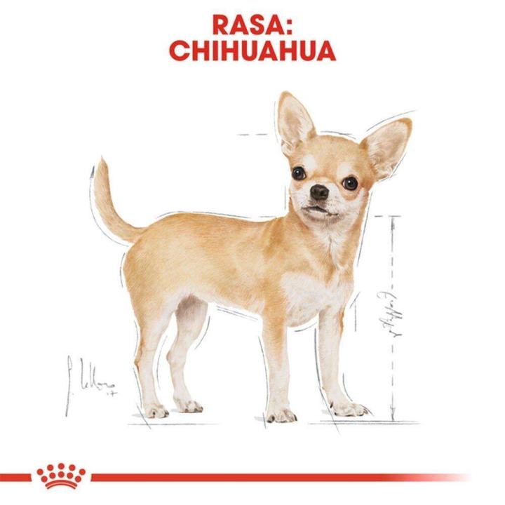 royal-canin-chihuahua-adult-dog-food-อาหารสุนัข-รอยัลคานิน-อาหารชิวาวา-อายุ8เดือนขึ้นไป-1-5-กก