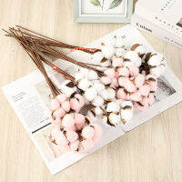 【cw】10 sheets of single dried cotton nch DYI artificial bouquet natural creative living room party decoration garden home decor 【hot】