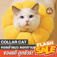 ?ถูกสุด! พร้อมส่ง?Collar Cat คอลล่าแมว ดอกทานตะวัน คอลล่าสัตว์เลี้ยง ปลอกคอกันเลีย คอลล่ากันเลีย