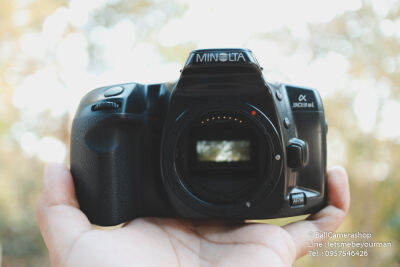 ขายกล้องฟิล์ม Minolta a303si serial 99630760 Body Only