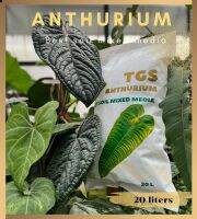 ดินพร้อมปลูกหน้าวัว Anthurium Best soil Mixed  ขนาด 20 ลิตร