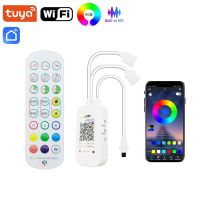 Smart Life Tuya Wifi Rgb Controler DC 5-24V LED Strip Lights WiFi Control ALexa Google Home 24Key Rgb Built-in MIC Music Sync