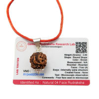 Mukhi 4 mukhi (4หน้า rudraksha) ลูกปัด rudraksha ดั้งเดิมที่ผ่านการรับรองในห้องปฏิบัติการพร้อมเกลียวสีแดง