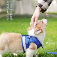 ▬◎☢ สายจูงสุนัข Teddy Corgi Pomeranian สุนัขขนาดเล็กและขนาดกลางสายรัดสัตว์เลี้ยง Dog Chain สายจูงสุนัขอุปกรณ์สำหรับลูกสุนัข