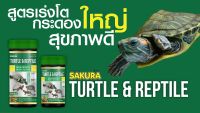 อาหารเต่า Sakura Turtle&amp;Reptile อาหารเต่าซากุระ อาหารสำหรับ เต่า เต๋าน้ำ ตะพาบ เต่าญี่ปุ่น อาหารเต่า ขนาด 80 กรัม