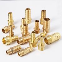 [HOT] 6/8/10/12/14/16/19/25MM Hose Barb Tail Brass Pipe Fitting 1/8 quot; 1/4 quot; 3/8 quot; 1/2 quot; 1 quot; 1 1/4 BSP Male Connector Joint Coupler Adapter