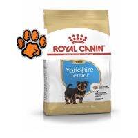 (ส่งฟรี)Royal Canin Yorkshire Terrier puppy ลูกสุนัขพันธุ์ยอร์คไชร์เทอร์เรีย ช่วงหย่านม - 10 เดือน ขนาด500กรัม