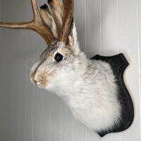 2023ฮาโลวีน Antlers รูปปั้นกระต่ายบทคัดย่อประติมากรรม Wall Hang สัตว์รูปปั้นภาพจิตรกรรมฝาผนัง Art Craft สำหรับคริสต์มาสฮาโลวีน Decor