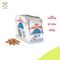 ?ด่วนๆๆ ส่งฟรี[ยกกล่อง 12 ซอง] Royal Canin Indoor Pouch Jelly อาหารเปียกแมวโต เลี้ยงในบ้านและทำหมัน อายุ 1 ปีขึ้นไป  จัดส่งฟรี ✨