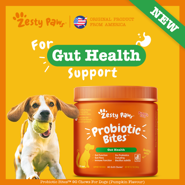 Zesty Paws Probiotic Bites for Dogs Gut Health [Pumpkin Flavor] (90 Soft Chews) (EXP01/2024